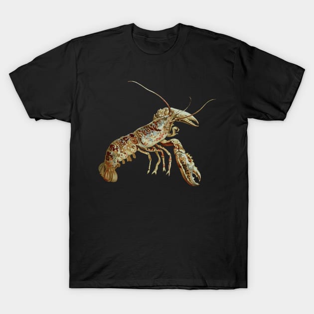 The Lobster T-Shirt by TRNCreative